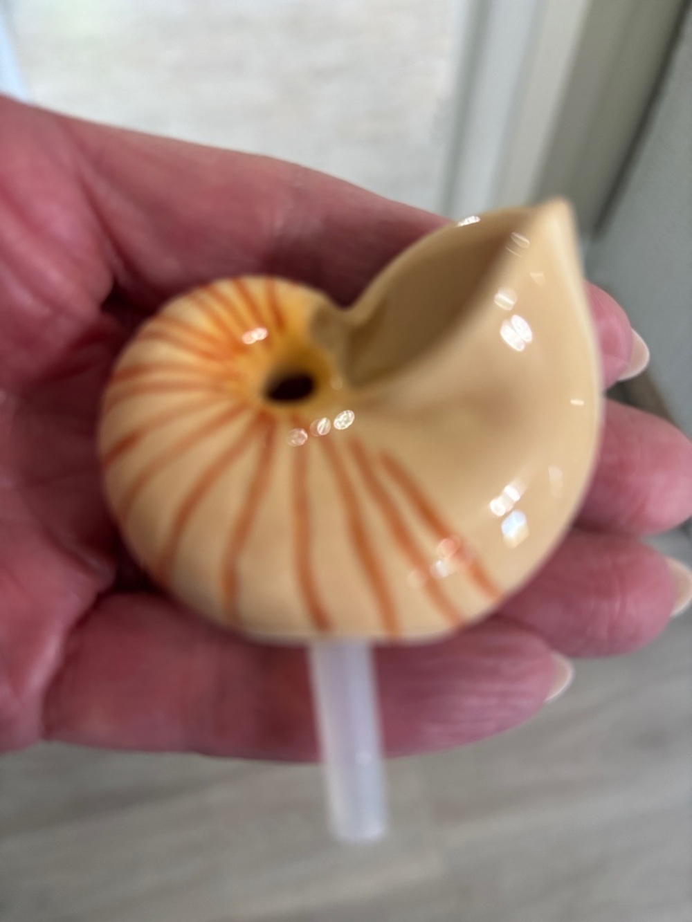 Nora Fleming Retired Shell mini ! - Picture 2 of 3